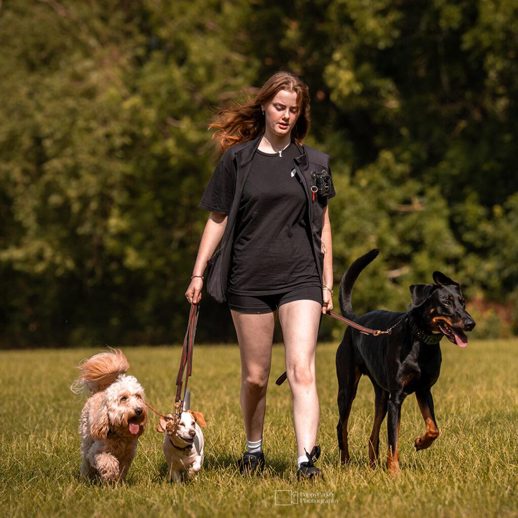 LNC Canine Club team member leading a carefully matched group of three dogs on a structured walk across open grassland in North West London. A Doberman, Cockapoo and small mixed-breed dog walk calmly alongside their handler, demonstrating professional dog walking, behaviour-led care, safe group management and canine enrichment in an outdoor environment.