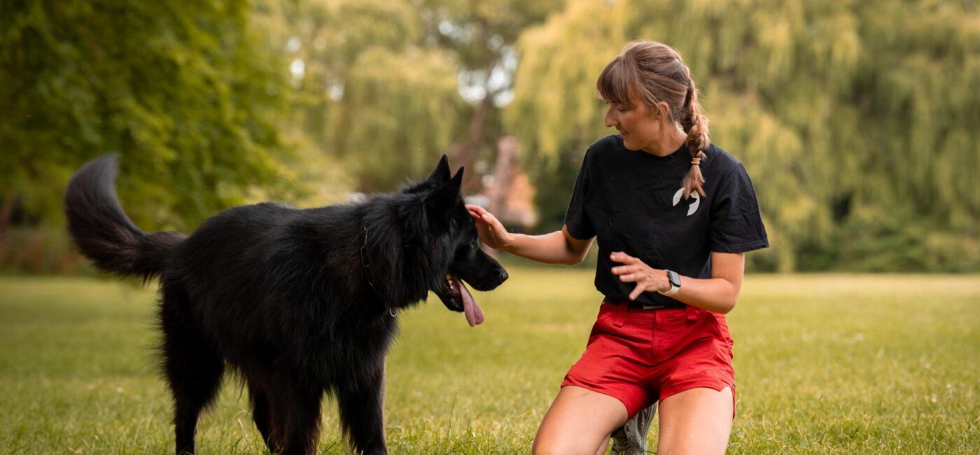 Why Calm, Structured Care Matters More Than Exercise for Dogs