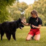 Why Calm, Structured Care Matters More Than Exercise for Dogs