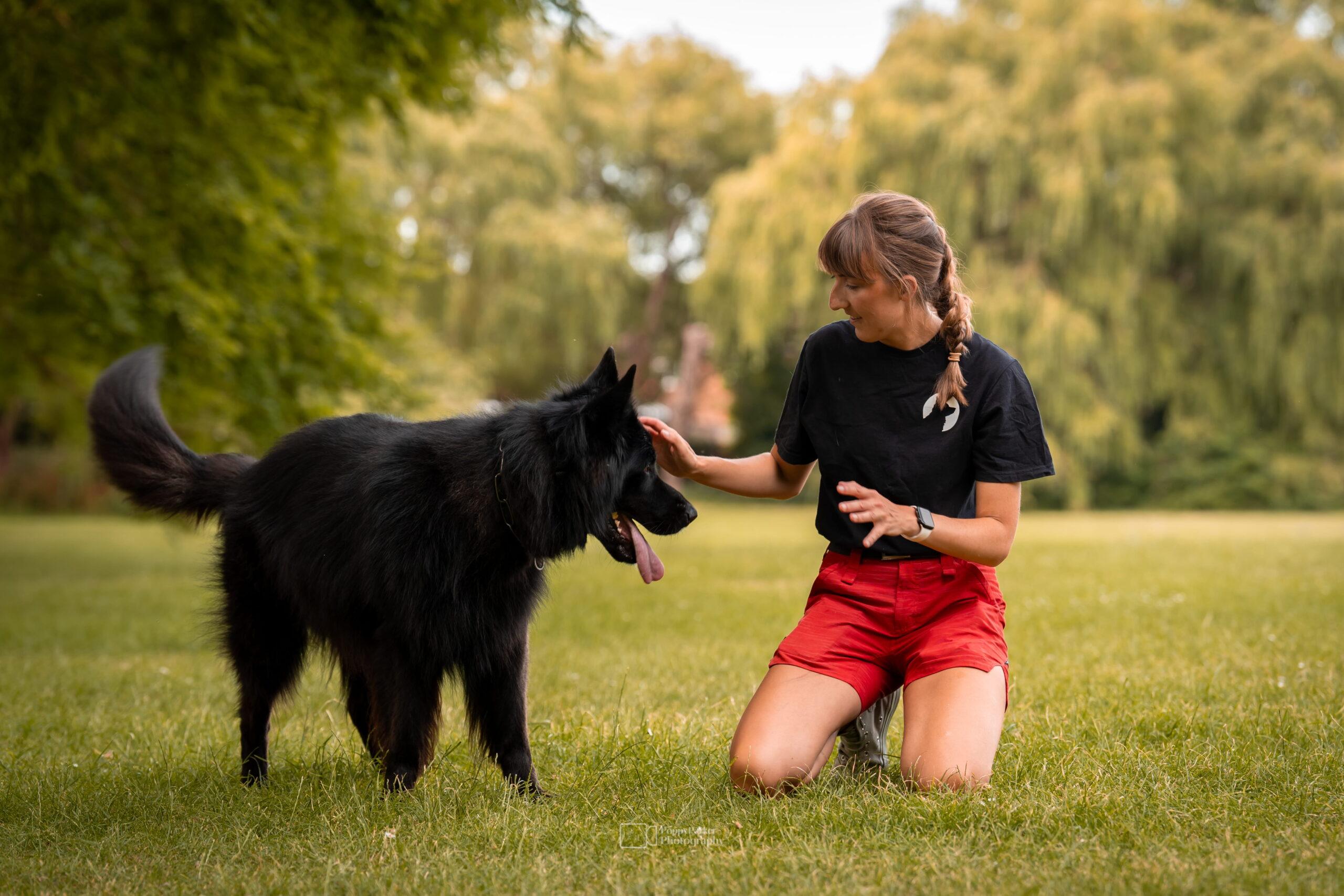 LNC Canine Club trainer kneeling on grass and engaging with a large black German Shepherd-type dog during an outdoor training session in a park. The handler focuses on calm interaction and engagement while the dog stands attentively beside them, surrounded by green open space and mature trees. Behaviour-led dog training promoting confidence, neutrality and strong handler-dog relationships in North West London.